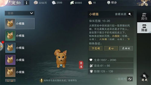 王毅谈中俄合作的强大韧性